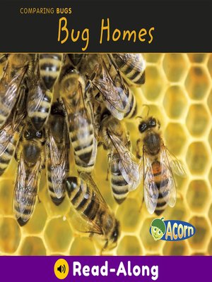 cover image of Bug Homes